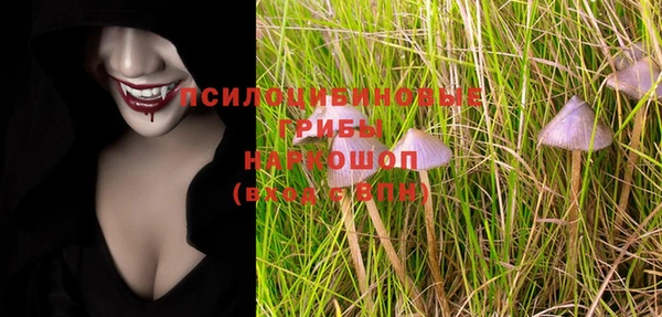 прущая мука Абаза